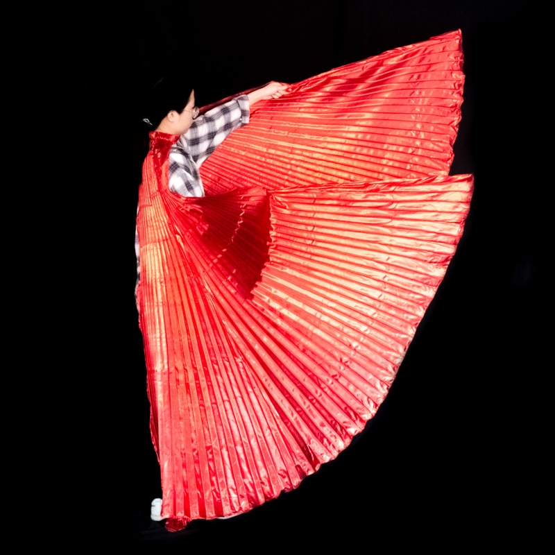 Belly Dance Wings Isis Wings A - Women Bags Egypt recension och pris